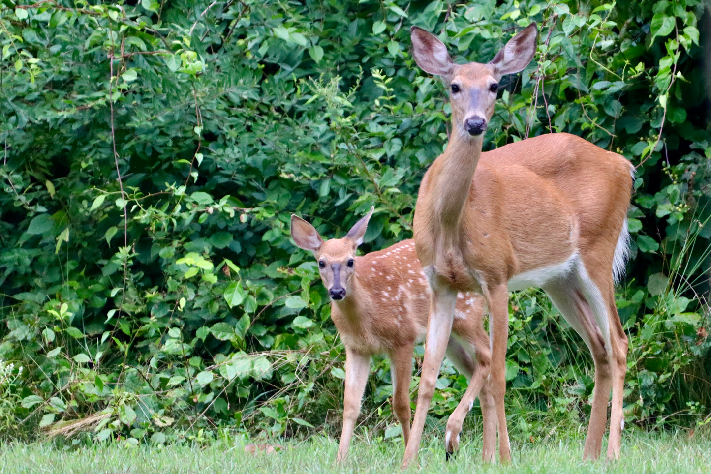 Mom & Baby 4