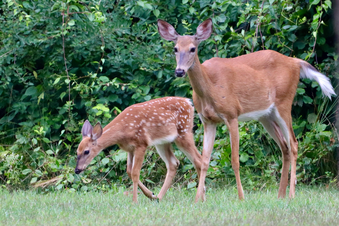 Mom & Baby 3